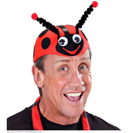 Ladybug hat - ladybug mask