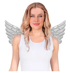 Wings silver, 57x26 cm