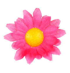 margrietinas-fuksijas-roza-20-gab-widmann-23983