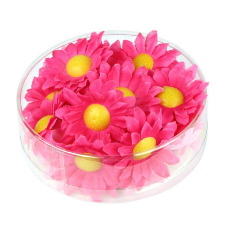 Daisies fuchsia pink, 20 pcs.