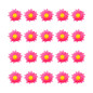 dasies-fuchsia-pink-20-gab-widmann-23983