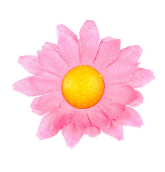 dasies-pink-20-gab-widmann-23982