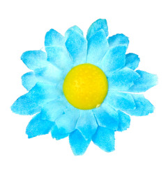 margrietinas-zilas-20-gab-widmann-23984