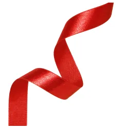 satin-ribbon-partypal-146354