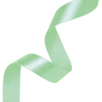 satin-ribbon-mint-green-25mm-23m-partypal-147207