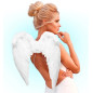 white-feather-wings-50x40cm-widmann-01037