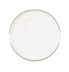 balts-grims-25g-widmann-02387