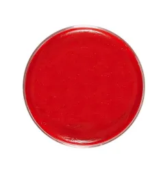 sarkans-grims-25g-widmann-02389