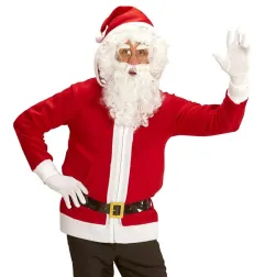 santa-claus-hudijs-m-l-widmann-14927