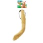 red-feathered-lions-tail-widmann-8256k