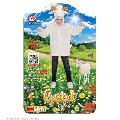 goot-costume-widmann-97445-1