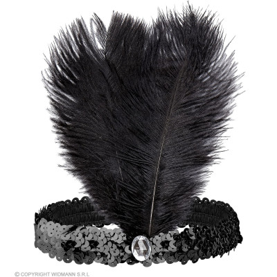 Headband with feathers black