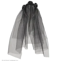 Black Widow's Veil