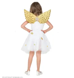 Angel costume